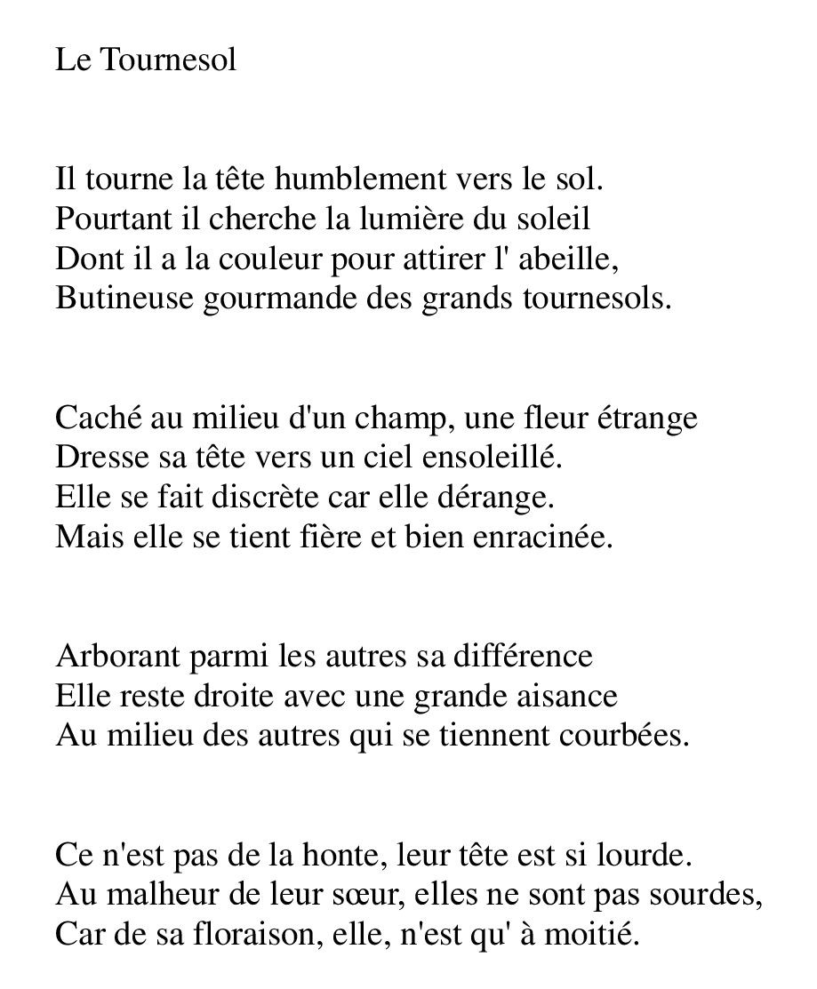 Texte Le Tournesol 